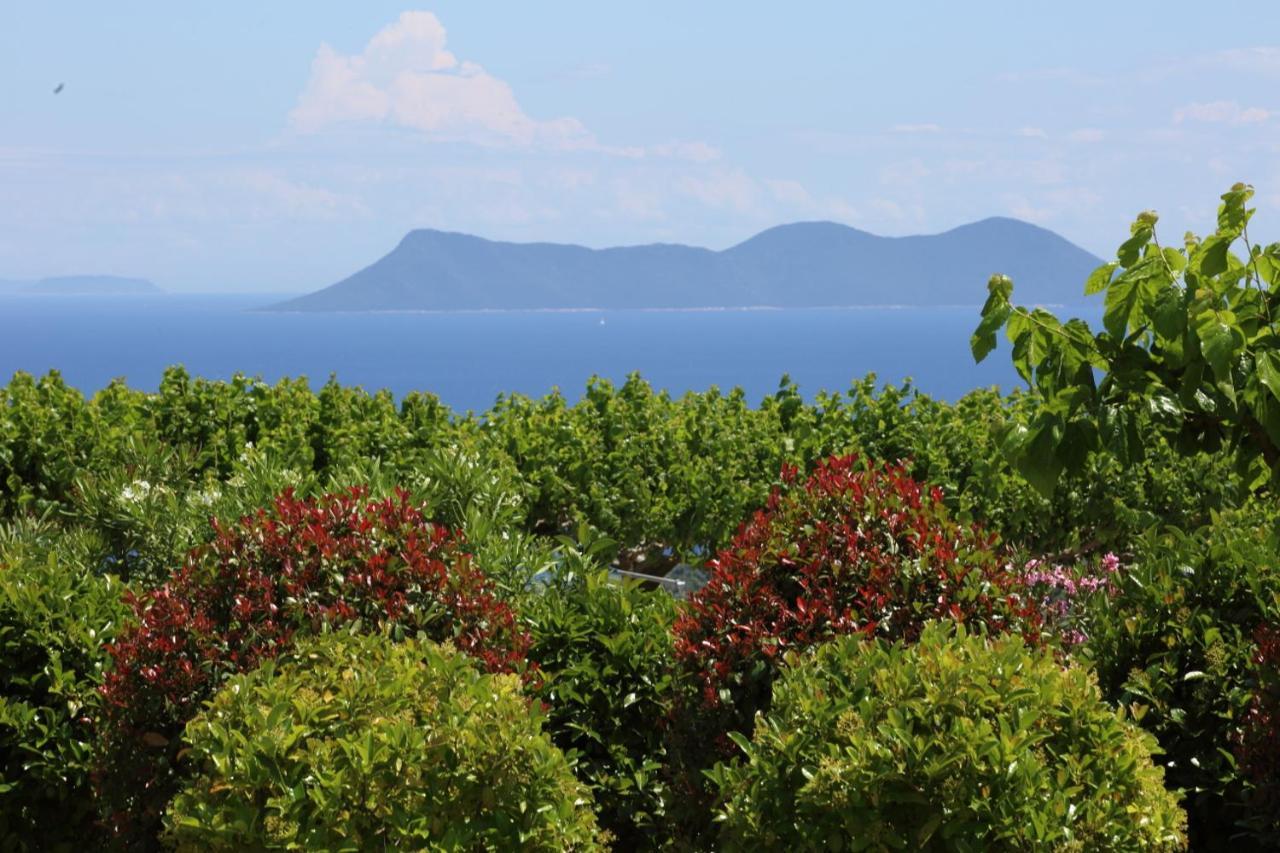 Pantheon & Danae Luxury Villas Sivota Exteriér fotografie